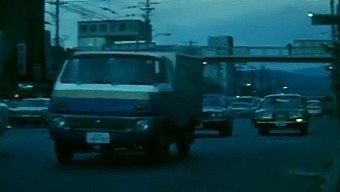 Vintage Japan Trip In 1973