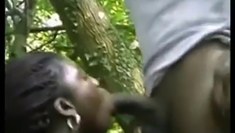 African Beauty Enjoys Anal Fucking