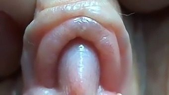 Intense Close-Up Of A Vagina And Its Sensitive Clitoris