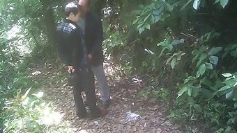 Gay Men In The Park Engage In Cruising And Outdoor Activities