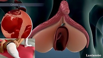 Exploring The Science Of Female Orgasm