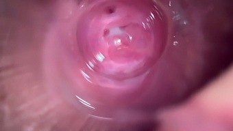 Wet And Wild: Teen'S Solo Session Caught On Camera