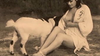 Classic Taboo: Vintage Pussy And Dog Play